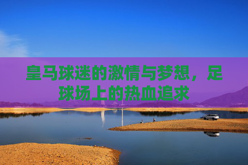 皇马球迷的激情与梦想，足球场上的热血追求