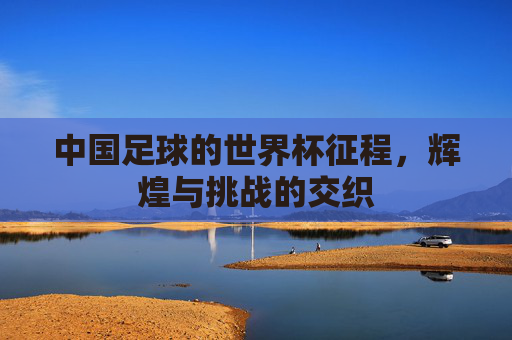 中国足球的世界杯征程，辉煌与挑战的交织