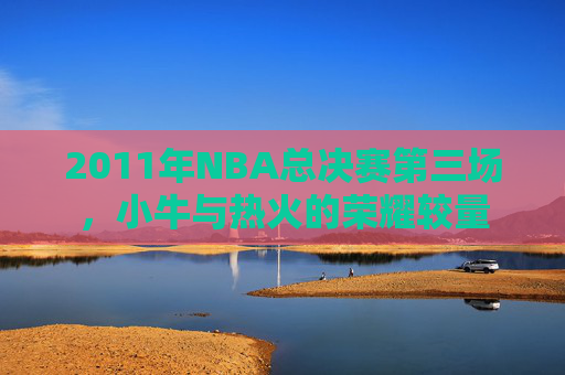 2011年NBA总决赛第三场，小牛与热火的荣耀较量