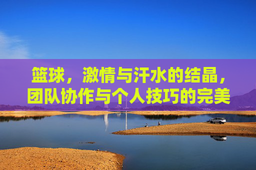 篮球,激情与汗水的结晶,团队协作与个人技巧的完美展示 篮球,激情与汗水的结晶,团队协作与个人技巧的完美展示