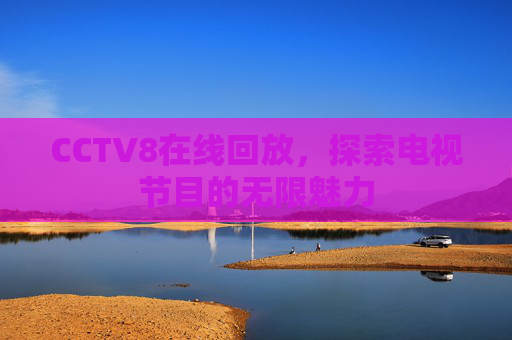 CCTV8在线回放，探索电视节目的无限魅力