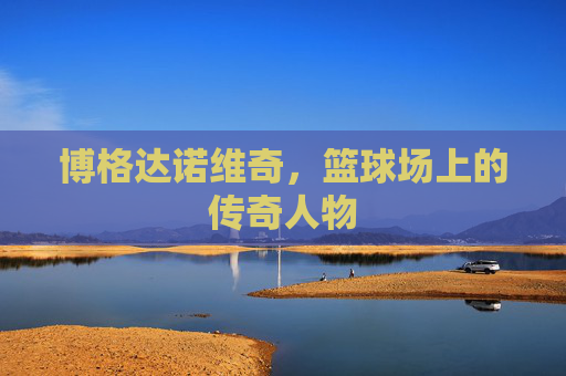 博格达诺维奇，篮球场上的传奇人物