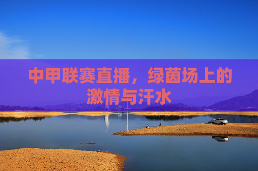 中甲联赛直播，绿茵场上的激情与汗水