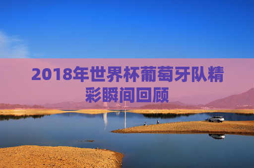 2018年世界杯葡萄牙队精彩瞬间回顾