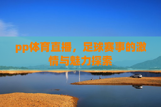 pp体育直播，足球赛事的激情与魅力探索