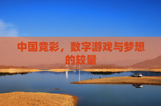 中国竞彩，数字游戏与梦想的较量