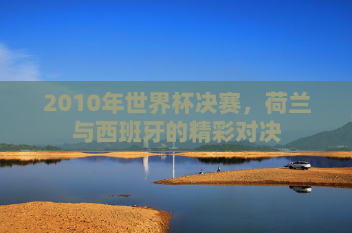 2010年世界杯决赛，荷兰与西班牙的精彩对决