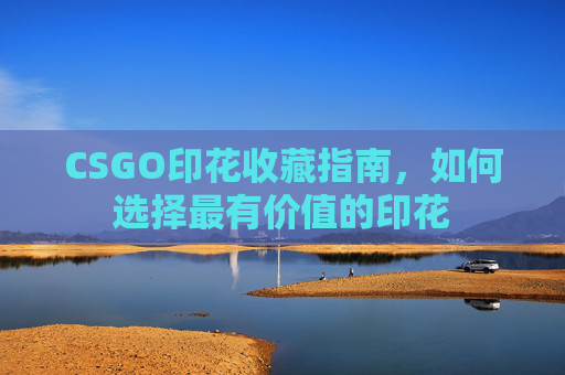 CSGO印花收藏指南，如何选择最有价值的印花