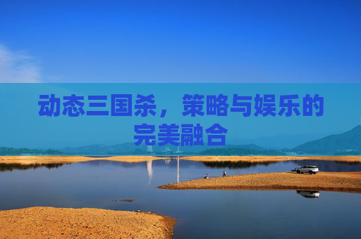 动态三国杀，策略与娱乐的完美融合