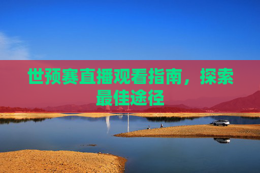 世预赛直播观看指南，探索最佳途径