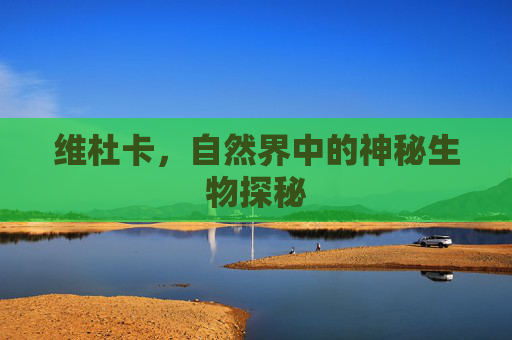 维杜卡，自然界中的神秘生物探秘