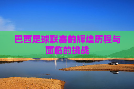 巴西足球联赛的辉煌历程与面临的挑战