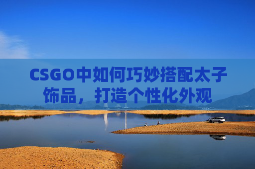 CSGO中如何巧妙搭配太子饰品，打造个性化外观