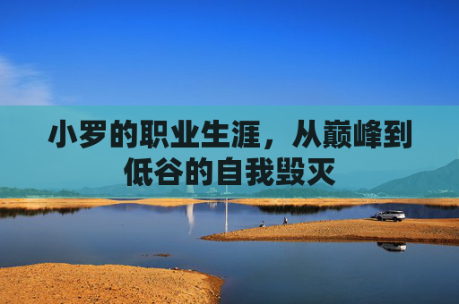 小罗的职业生涯，从巅峰到低谷的自我毁灭