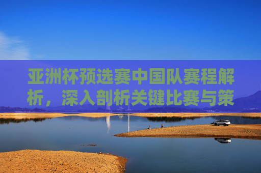 亚洲杯预选赛中国队赛程解析，深入剖析关键比赛与策略