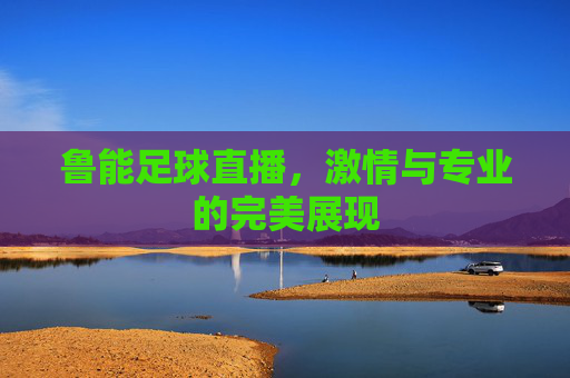 鲁能足球直播，激情与专业的完美展现