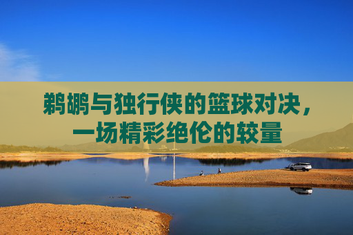 鹈鹕与独行侠的篮球对决，一场精彩绝伦的较量
