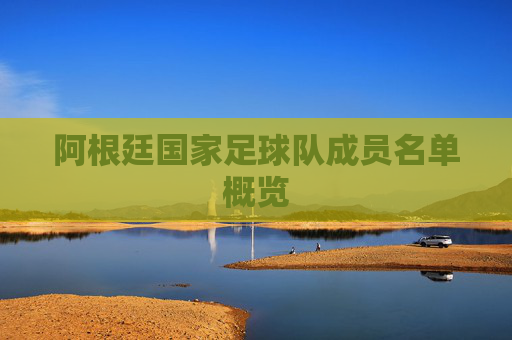 阿根廷国家足球队成员名单概览