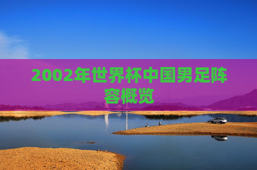 2002年世界杯中国男足阵容概览 2002年世界杯中国男足阵容概览