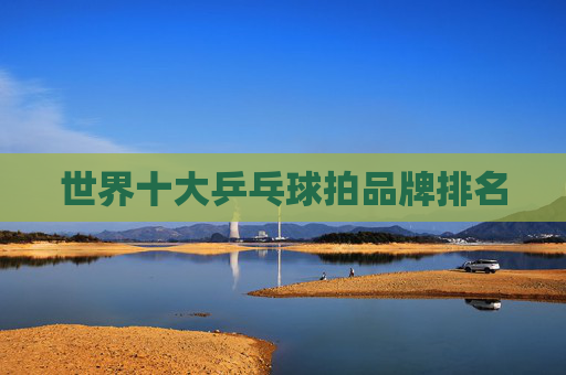世界十大乒乓球拍品牌排名
