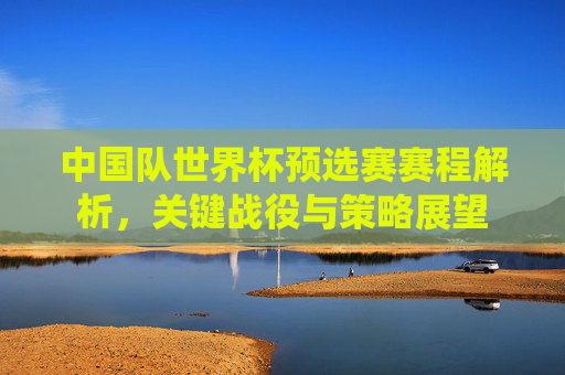 中国队世界杯预选赛赛程解析,关键战役与策略展望 中国队世界杯预选赛赛程解析,关键战役与策略展望