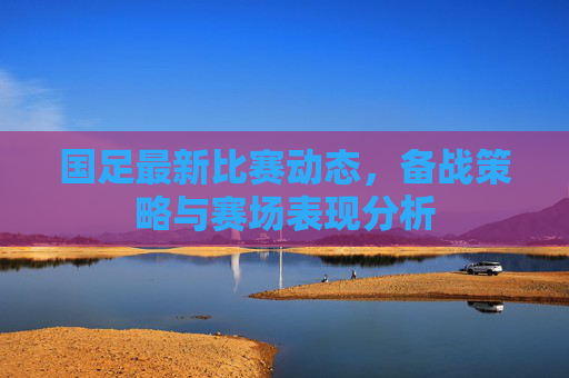 国足最新比赛动态,备战策略与赛场表现分析 国足最新比赛动态,备战策略与赛场表现分析