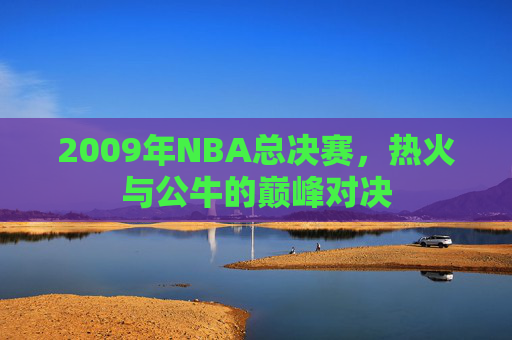 2009年NBA总决赛,热火与公牛的巅峰对决 2009年NBA总决赛,热火与公牛的巅峰对决