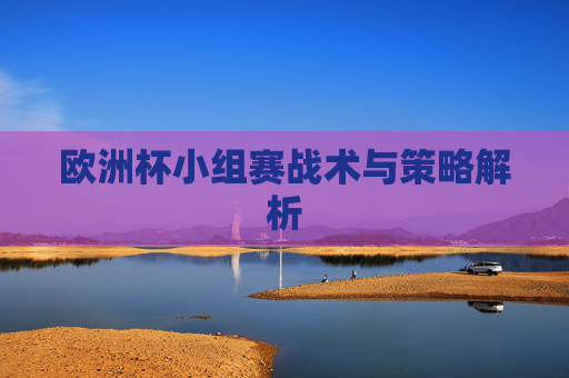 欧洲杯小组赛战术与策略解析