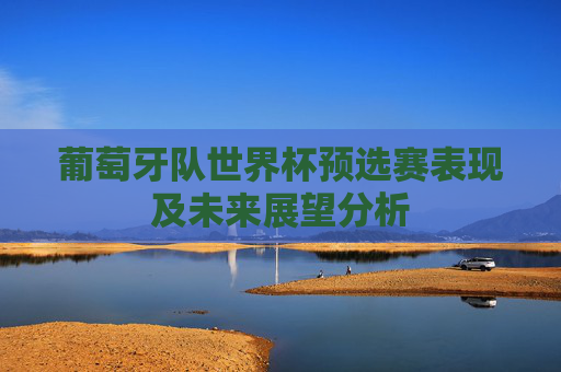 葡萄牙队世界杯预选赛表现及未来展望分析