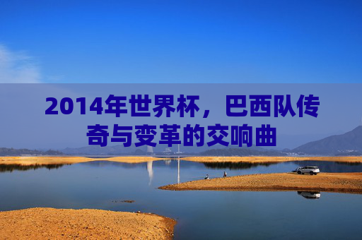 2014年世界杯，巴西队传奇与变革的交响曲