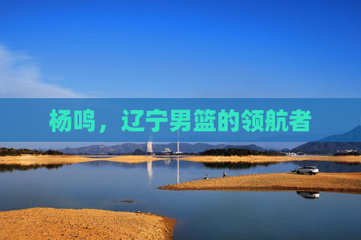 杨鸣,辽宁男篮的领航者 杨鸣,辽宁男篮的领航者