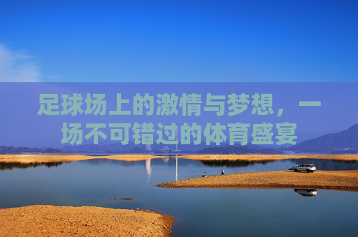 足球场上的激情与梦想，一场不可错过的体育盛宴