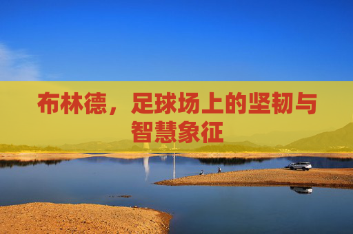 布林德,足球场上的坚韧与智慧象征 布林德,足球场上的坚韧与智慧象征
