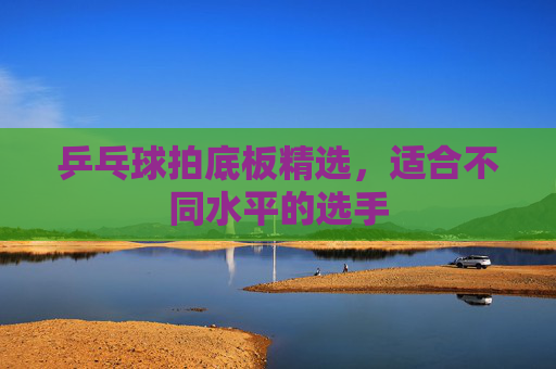 乒乓球拍底板精选，适合不同水平的选手
