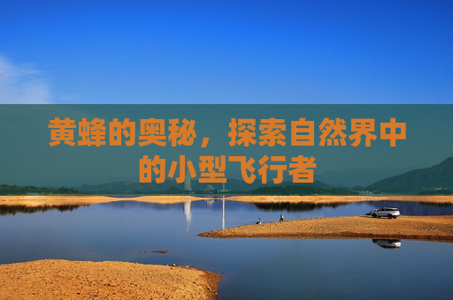 黄蜂的奥秘，探索自然界中的小型飞行者
