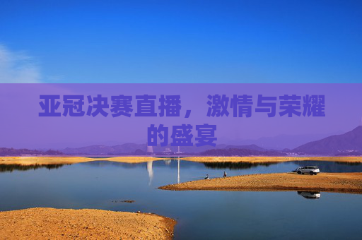 亚冠决赛直播，激情与荣耀的盛宴