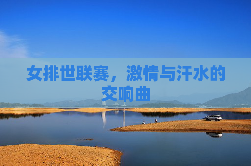 女排世联赛，激情与汗水的交响曲