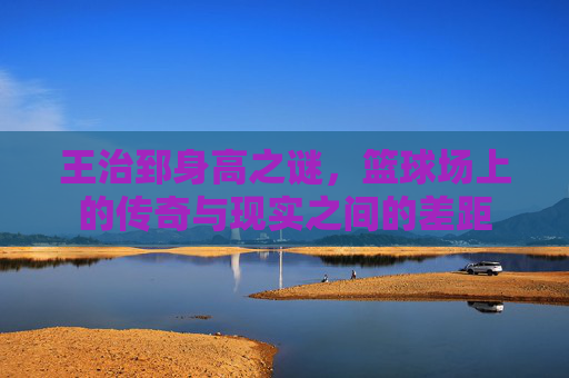 王治郅身高之谜，篮球场上的传奇与现实之间的差距