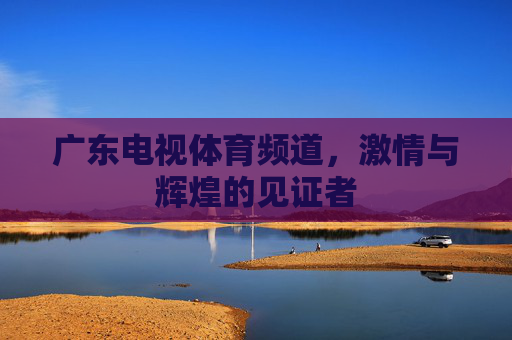 广东电视体育频道，激情与辉煌的见证者