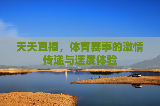 天天直播，体育赛事的激情传递与速度体验
