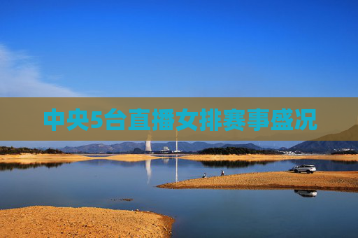 中央5台直播女排赛事盛况