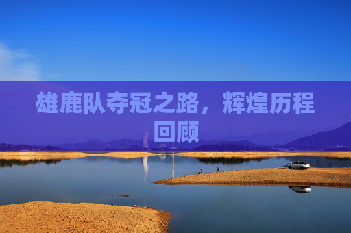 雄鹿队夺冠之路，辉煌历程回顾