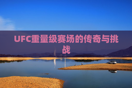 UFC重量级赛场的传奇与挑战