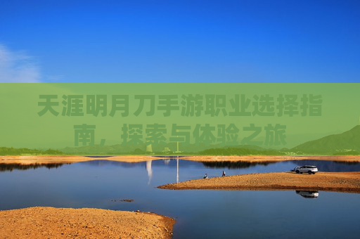 天涯明月刀手游职业选择指南,探索与体验之旅 天涯明月刀手游职业选择指南,探索与体验之旅