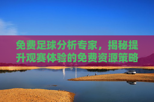 免费足球分析专家，揭秘提升观赛体验的免费资源策略