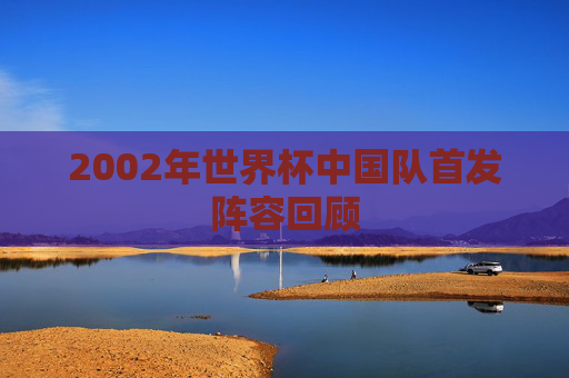 2002年世界杯中国队首发阵容回顾