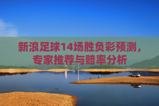 新浪足球14场胜负彩预测，专家推荐与赔率分析