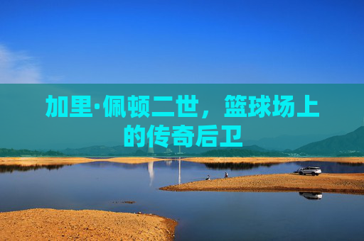 加里·佩顿二世，篮球场上的传奇后卫