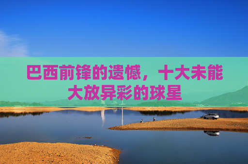 巴西前锋的遗憾，十大未能大放异彩的球星