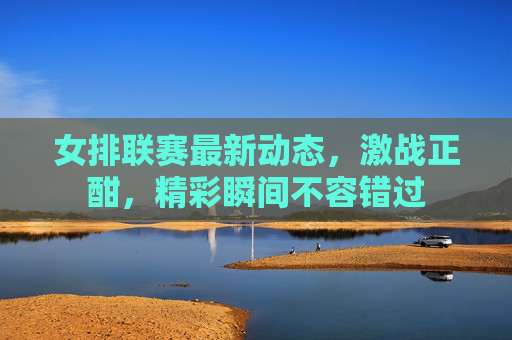 女排联赛最新动态，激战正酣，精彩瞬间不容错过